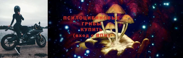 дурь Аркадак