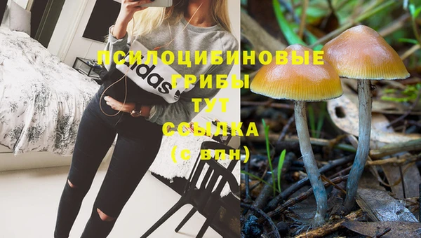 дурь Аркадак