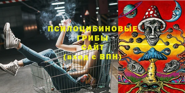 дурь Аркадак
