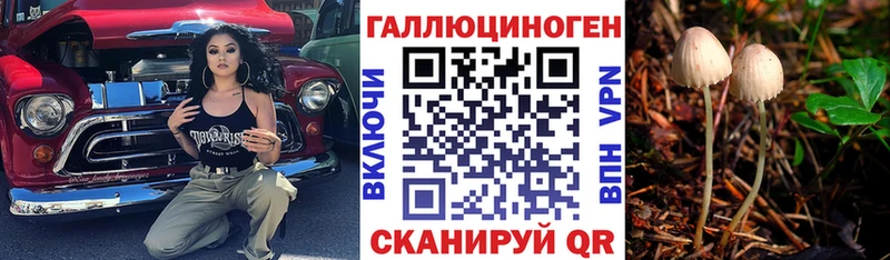 Псилоцибиновые грибы Psilocybine cubensis  darknet официальный сайт  Удачный  цена наркотик 